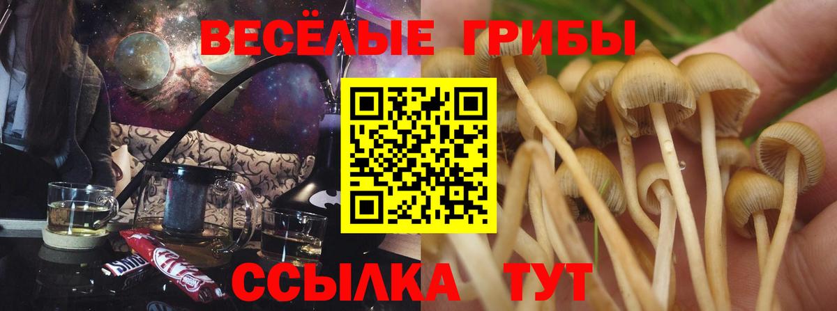 Сланцы  Галлюциногенные грибы GOLDEN TEACHER  Вход с VPN 